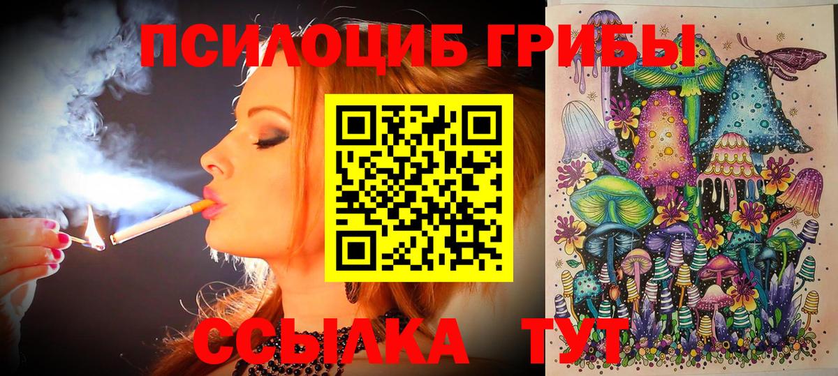 Псилоцибиновые грибы прущие грибы  Галлюциногенные грибы MAGIC MUSHROOMS  Котовск  Вход с VPN 