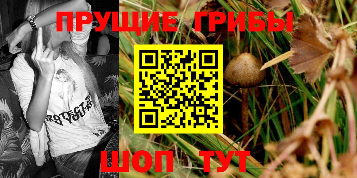 Псилоцибиновые грибы Magic Shrooms Котовск